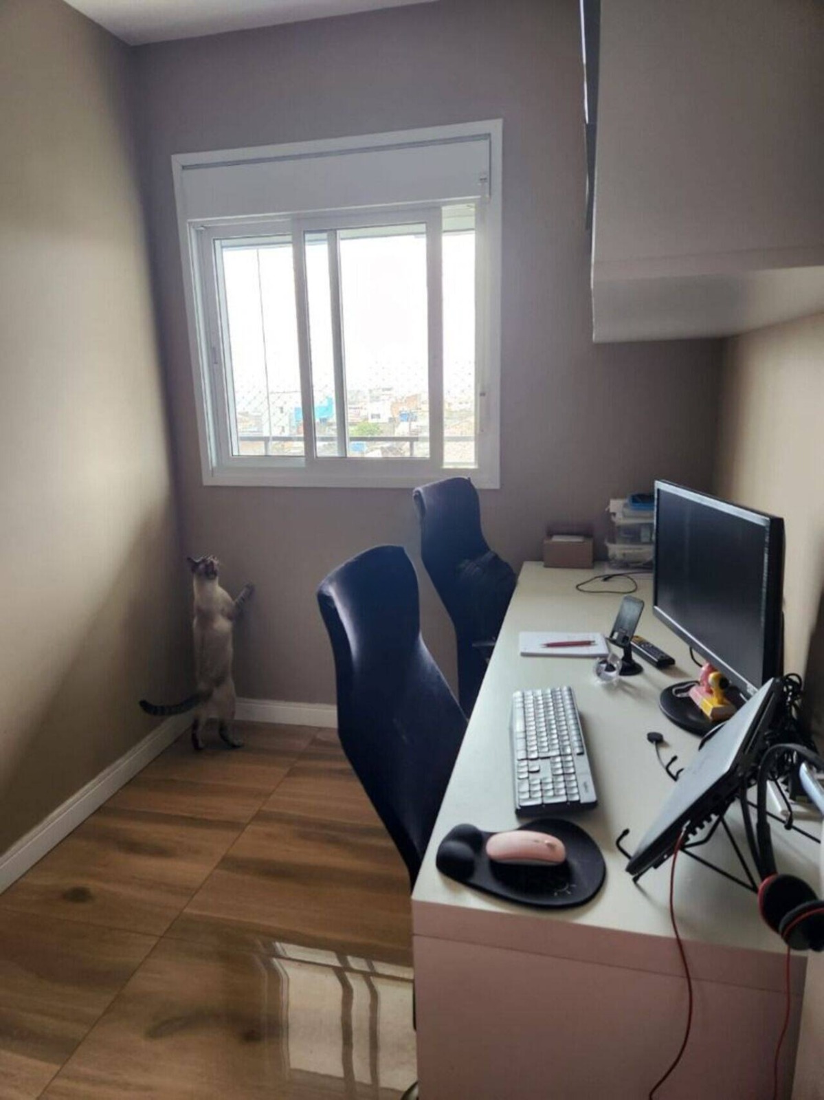 WhatsApp Image 2026-02-13 at 20.07.04